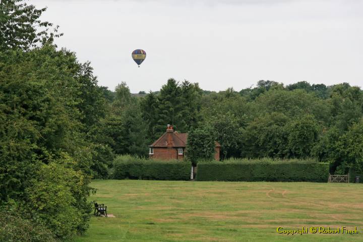 IMG_1064_DxO One has landed on this Common, another in the Recreation Ground in Ashley Drive.